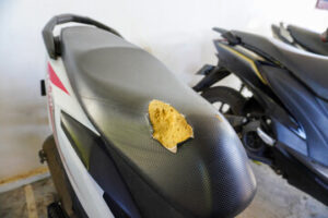 Motorcycle Seat Upholstery